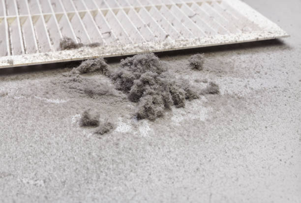Best HVAC Air Duct Cleaning  in Taylor, AL