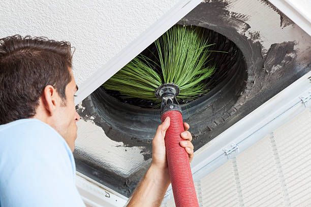 Best HVAC System Cleaning  in Taylor, AL
